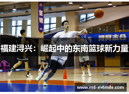 福建浔兴：崛起中的东南篮球新力量