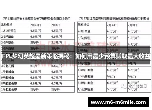 FPL梦幻英超最新策略揭秘：如何用最少预算赚取最大收益